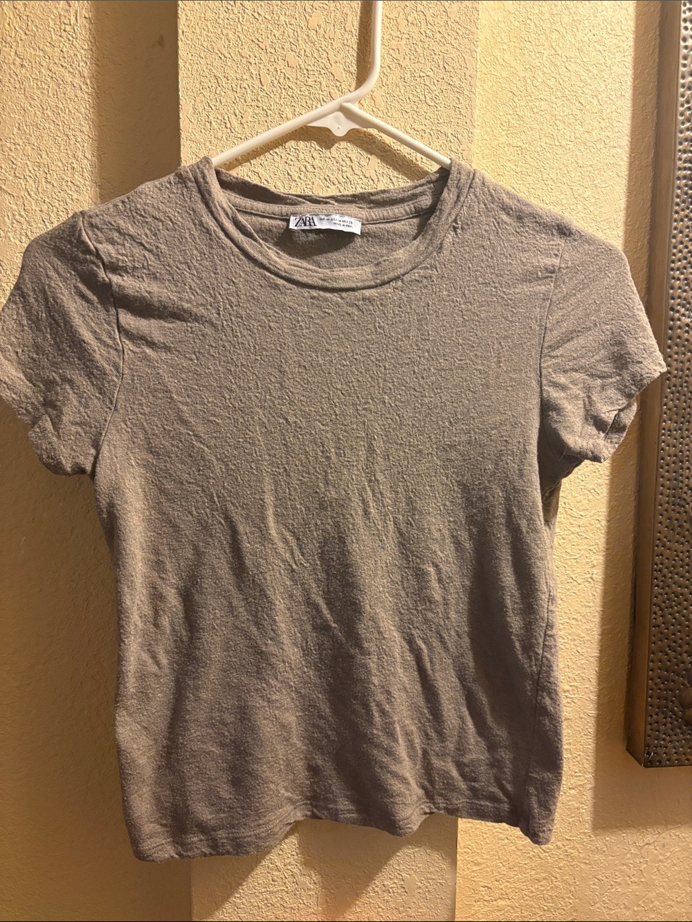 Zara Short Sleeve Crewneck Tee in Taupe
